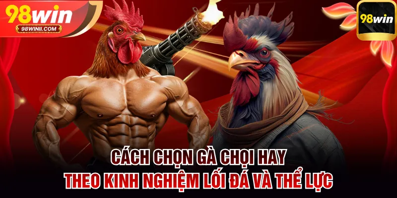 Cách chọn gà chọi hay